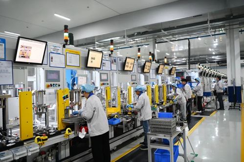 不老松 泰州姜堰创新全生命周期产品，推动产业大树汇聚成林